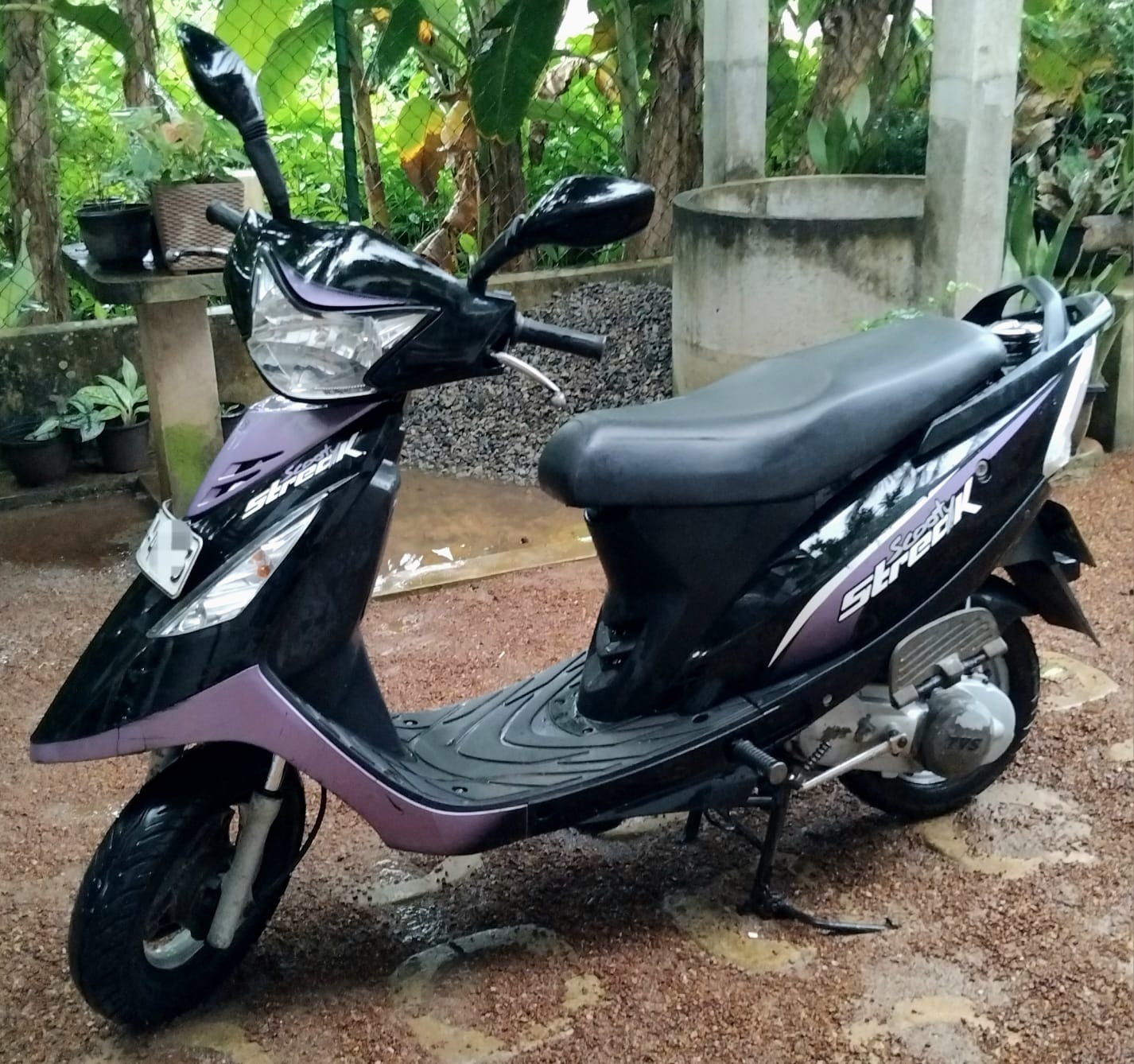 ads-image-1