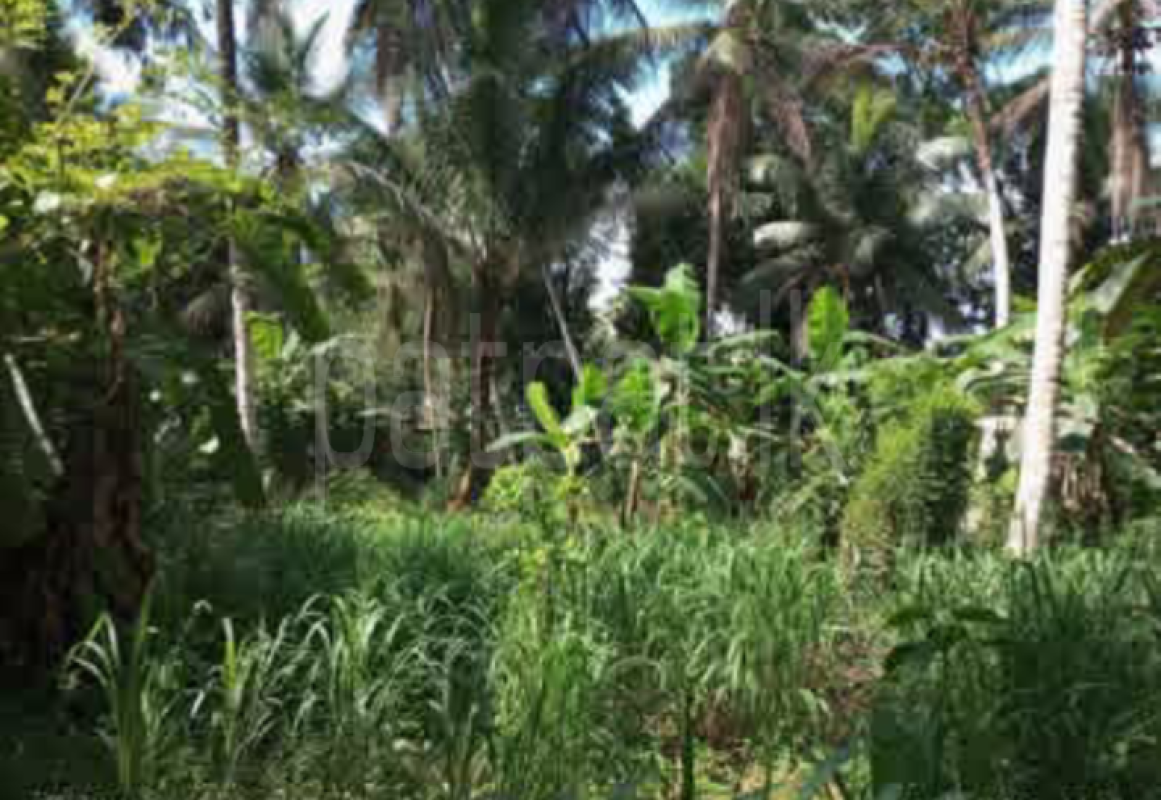 Residential Land for Sale in Horana