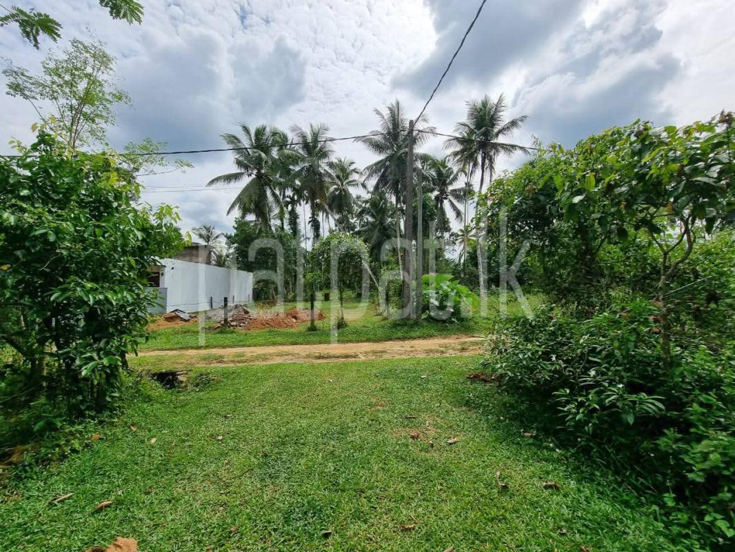 Residential Land for Sale in Padukka
