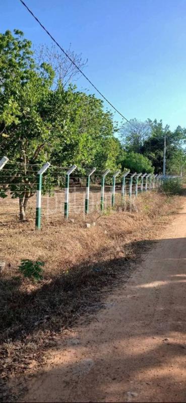 Residential Land for Sale in Tissamaharama ads-image-1