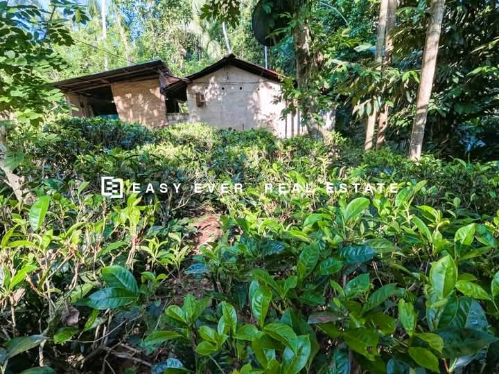 Commercial Land for Sale in Attanagalla