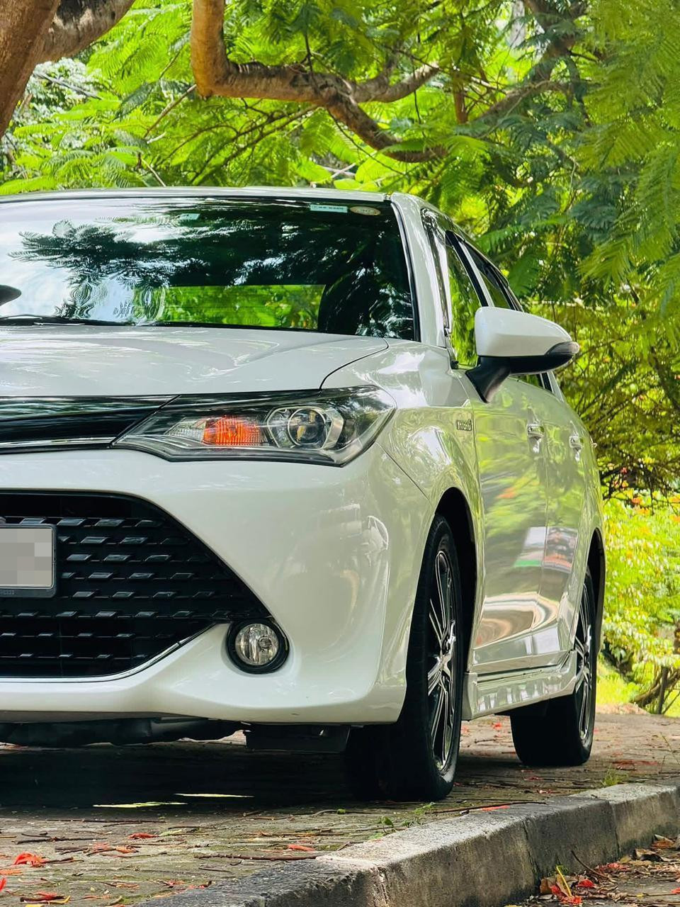 Toyota Axio 2017 - Used Car sale in Sri Lanka - patpat.lk