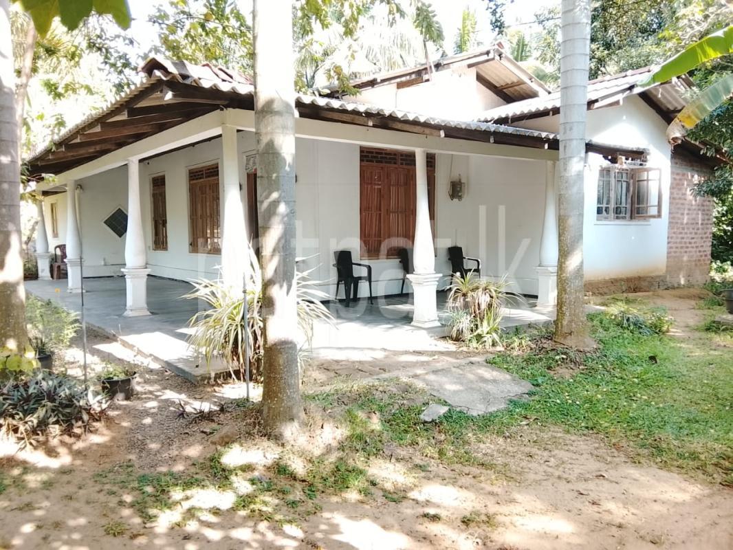 House for Sale in Ibbagamuwa ads-image-1