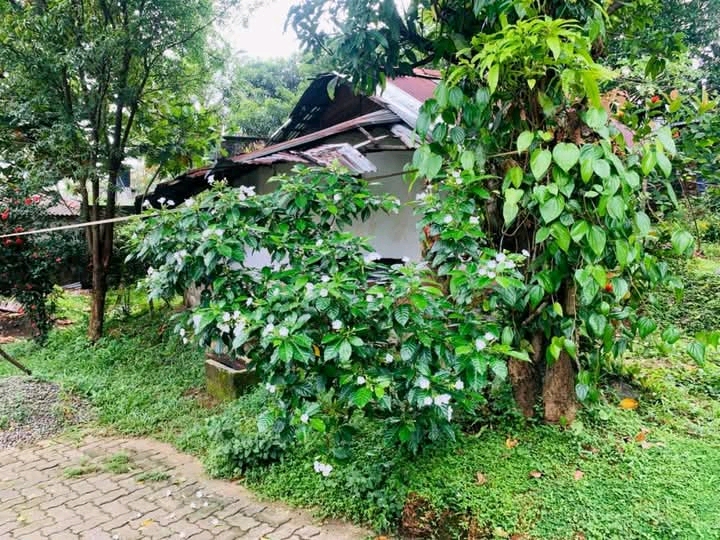 Commercial Land for Sale in Wattala