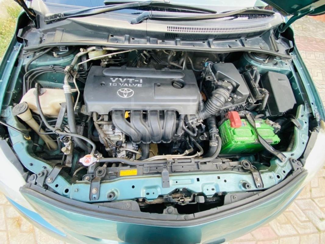 Advertisement image 6