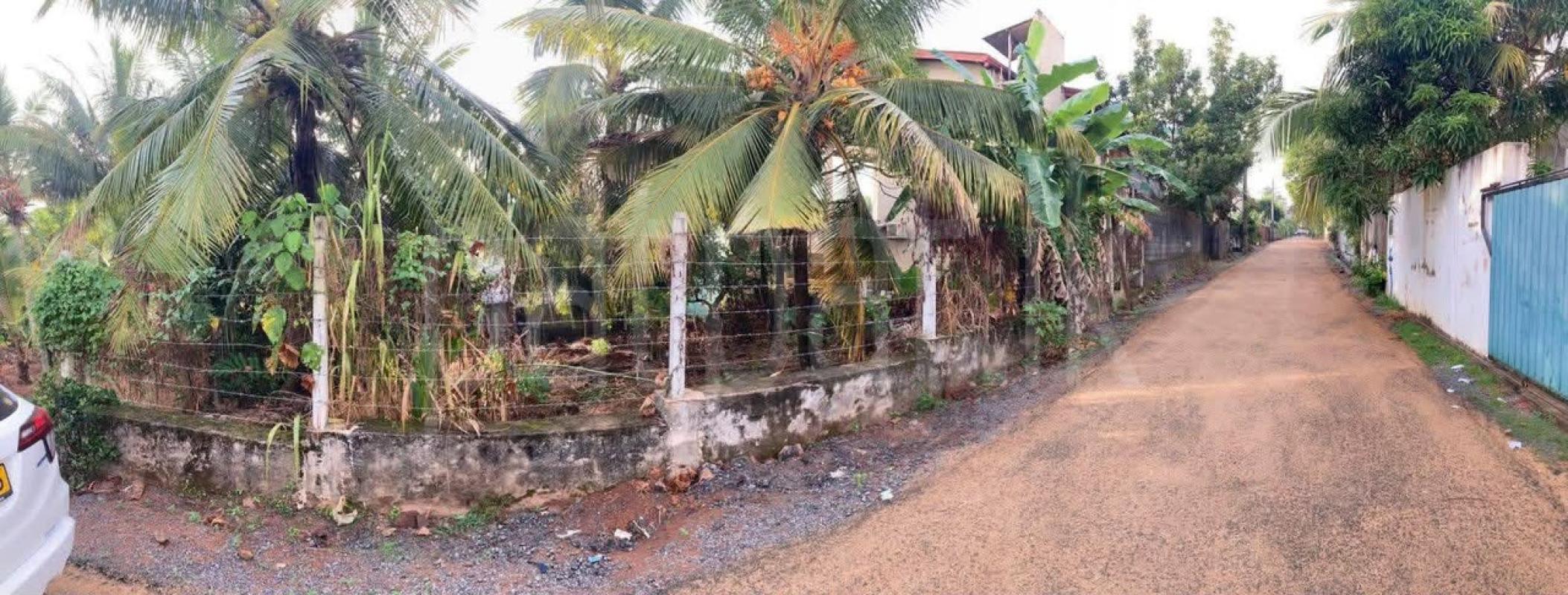 Residential Land for Sale in Homagama