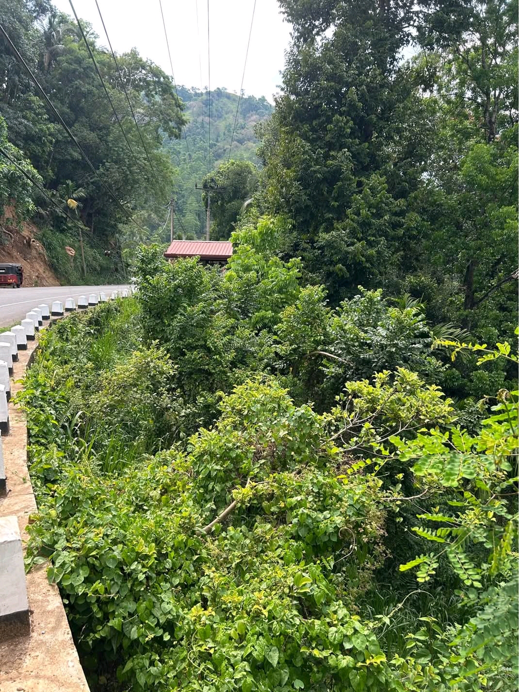 Commercial Land for Sale in Matale ads-image-1