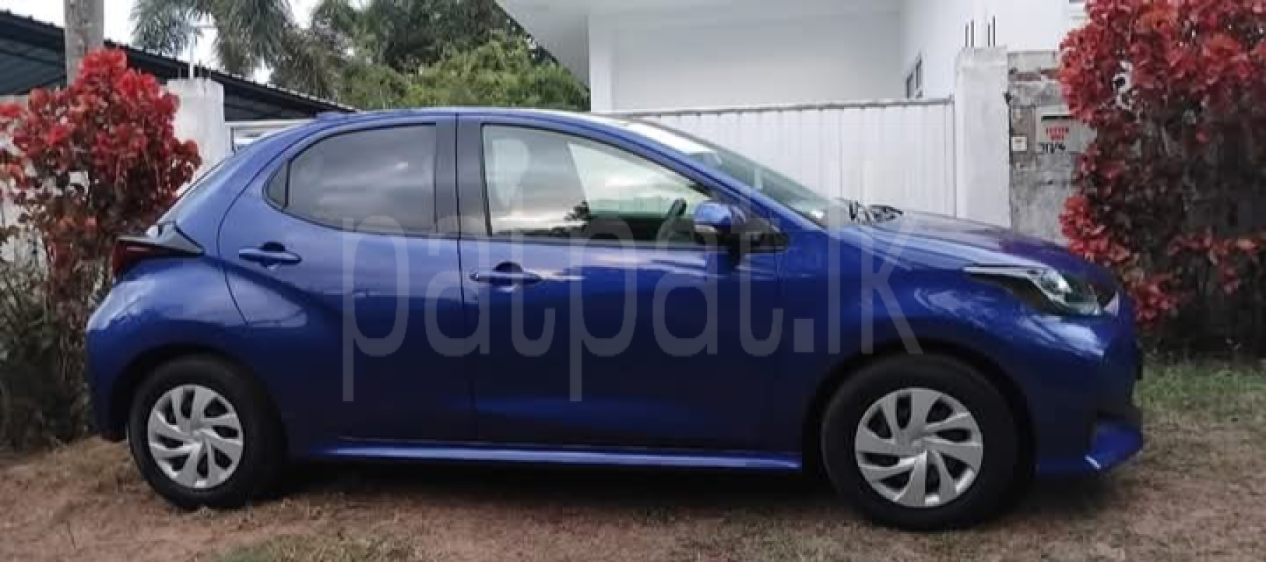 Advertisement image 4