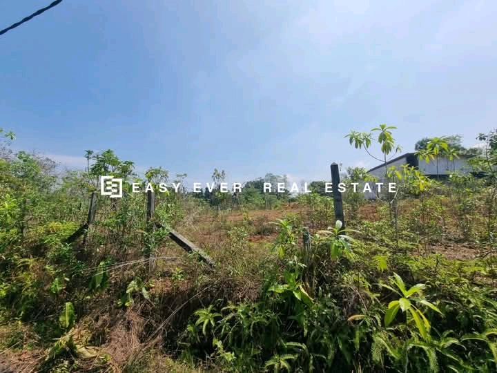 Commercial Land for Sale in Horana