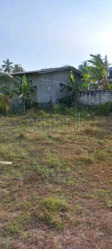 Residential Land for Sale in Pamunugama