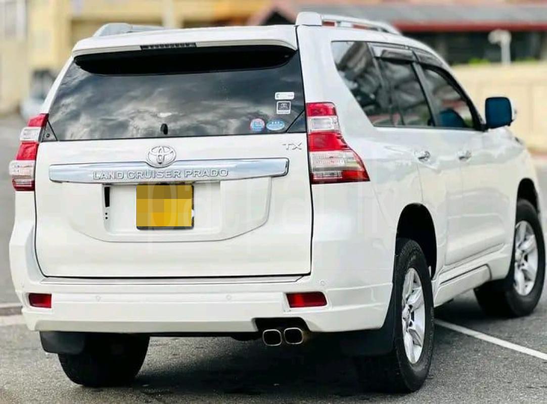 Advertisement image 3