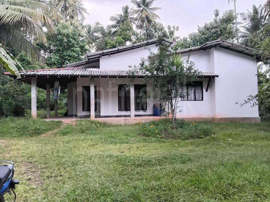 House for Sale in Ibbagamuwa