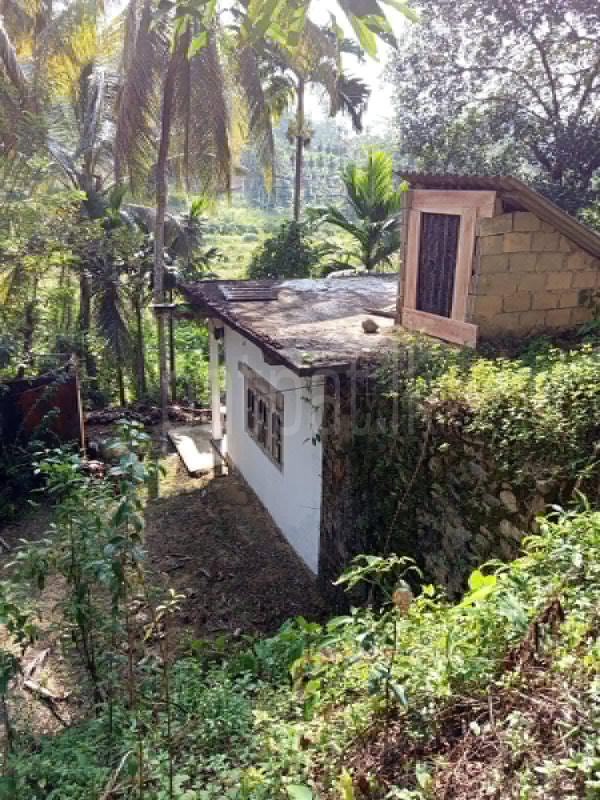 Agricultural Land for Sale in Neluwa