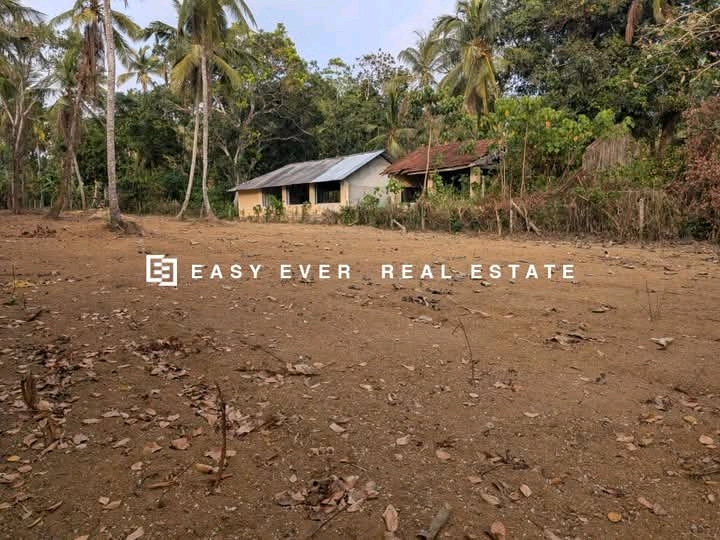 Commercial Land for Sale in Gampaha