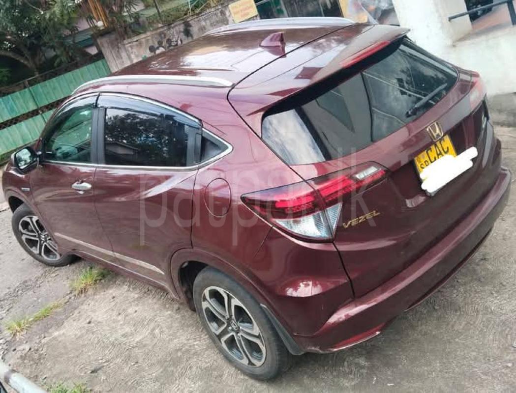 Advertisement image 3