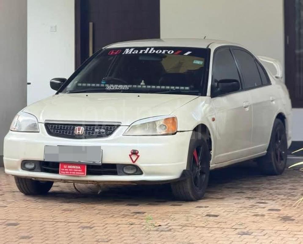 Advertisement image 3