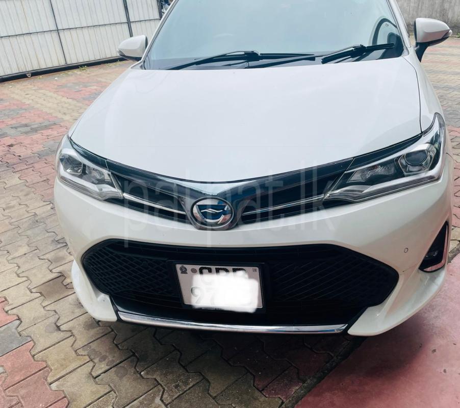 Advertisement image 2