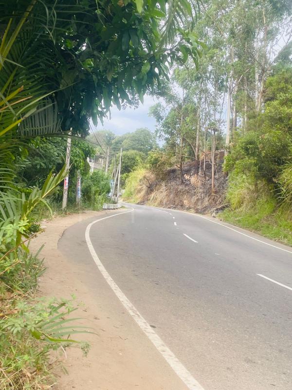 Commercial Land for Sale in Welimada ads-image-1