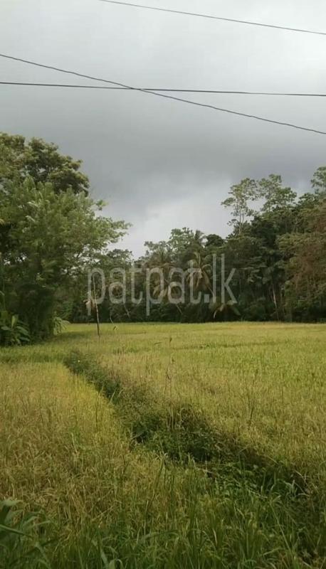Commercial Land for Sale in Unawatuna