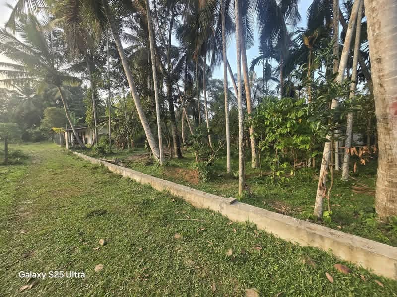 Agricultural Land for Sale in Kadawatha