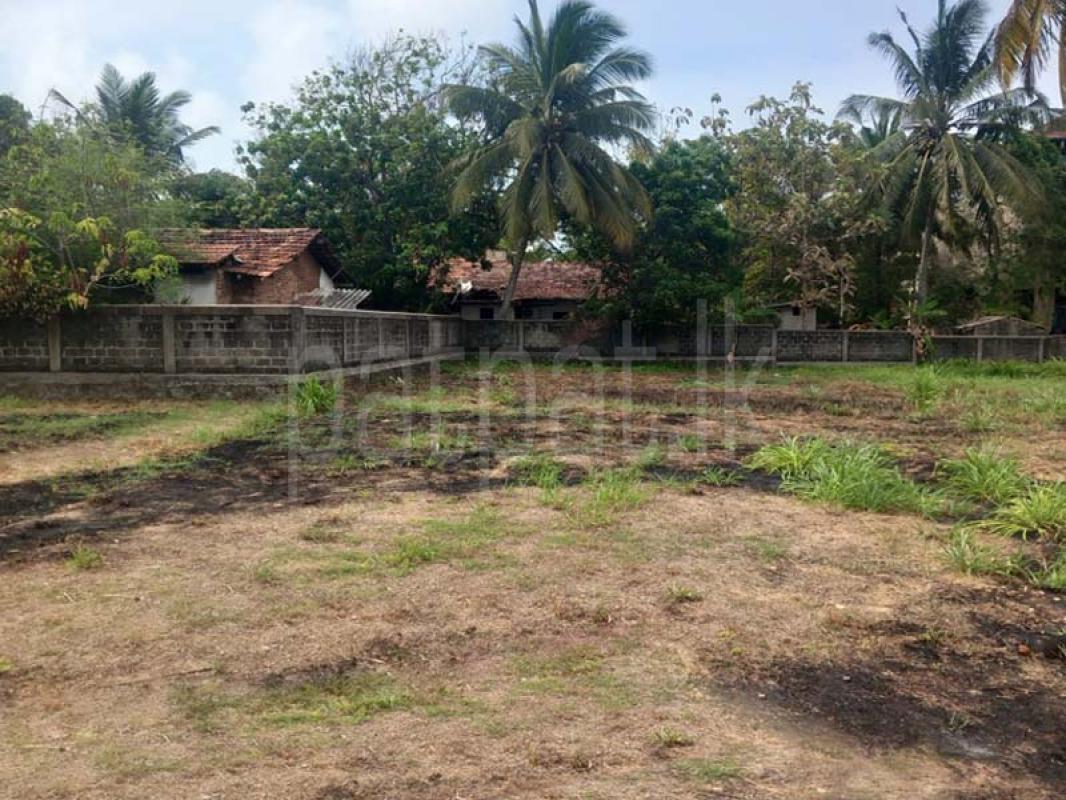 Residential Land for Sale in Negombo