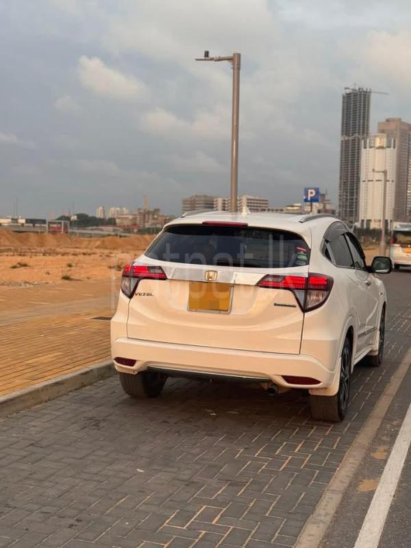 Advertisement image 3