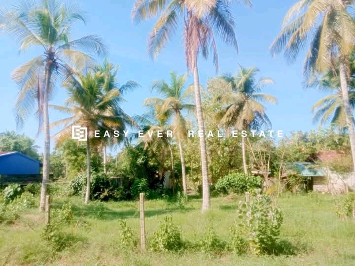 Commercial Land for Sale in Nattandiya