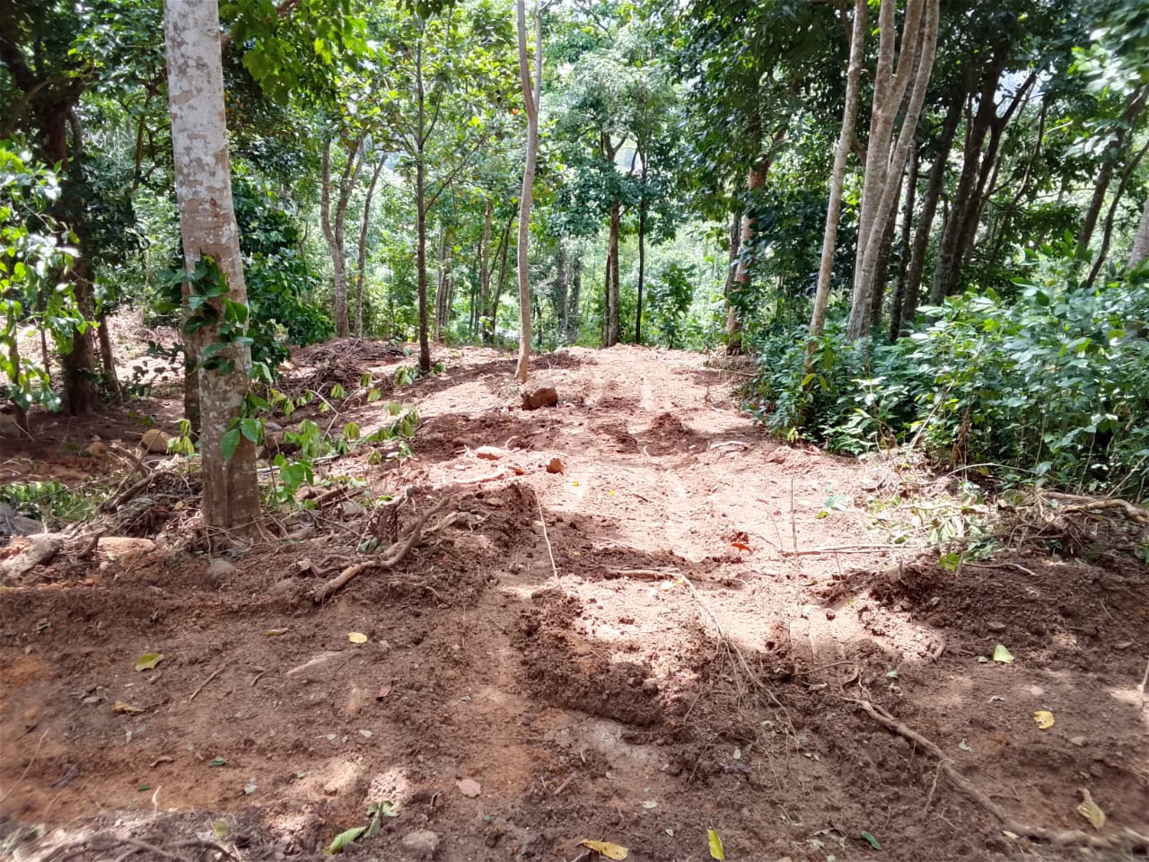 Residential Land for Sale in Mapalagama