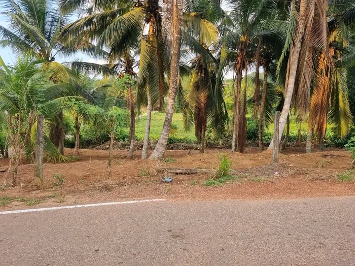 Commercial Land for Sale in Minuwangoda