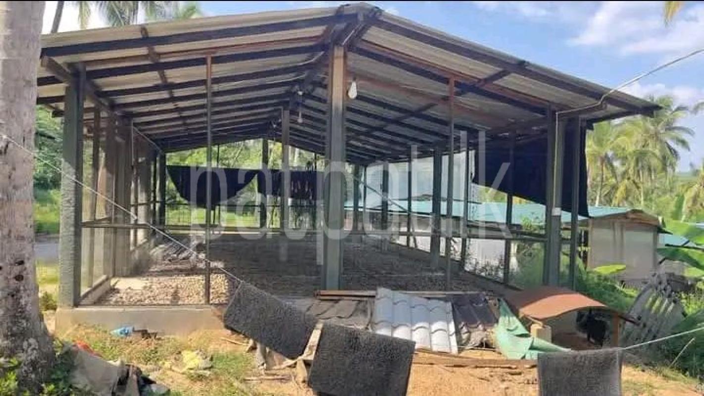 Advertisement image 3