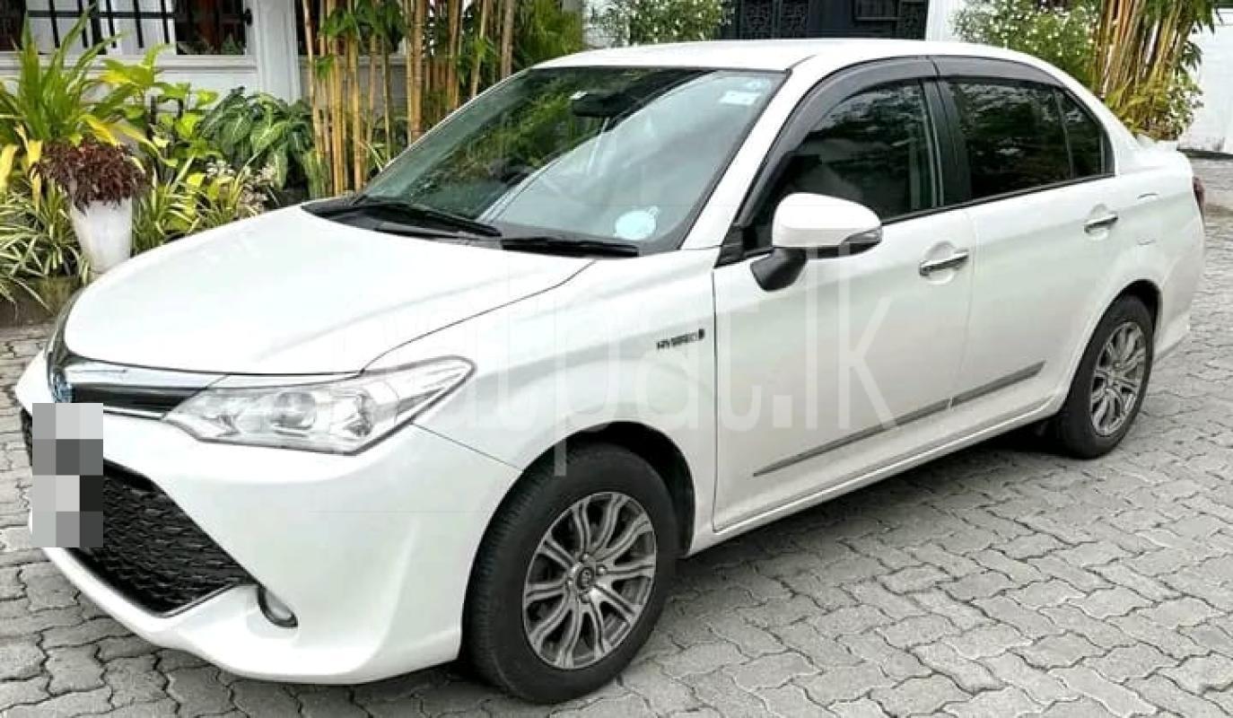 Advertisement image 5