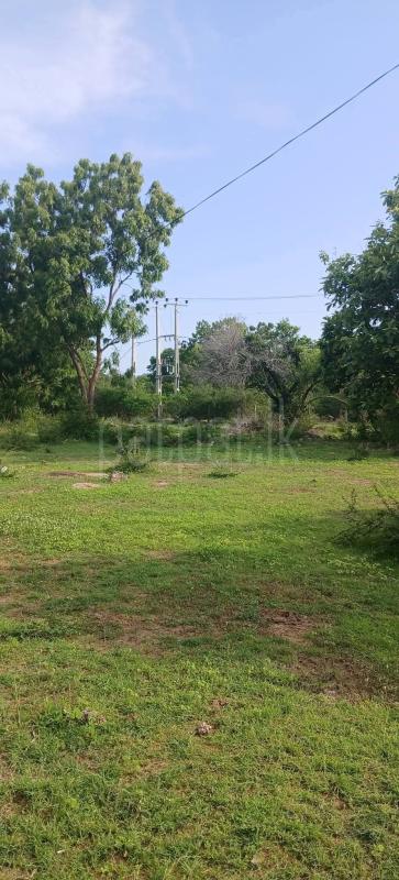 Residential Land for Sale in Kataragama