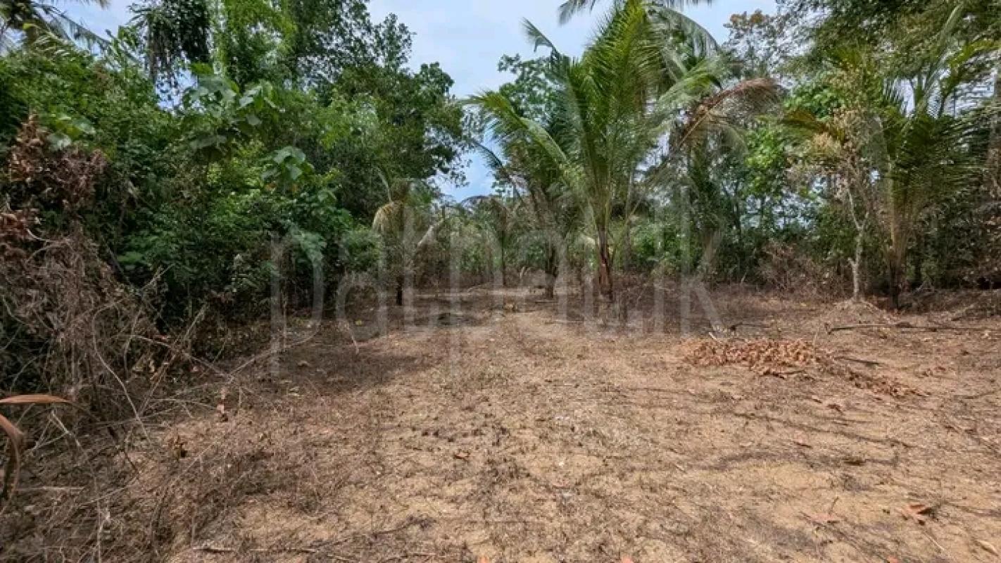 Commercial Land for Sale in Minuwangoda