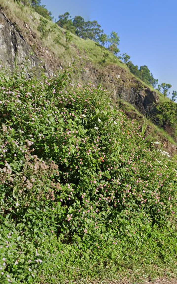 Commercial Land for Sale in Demodara