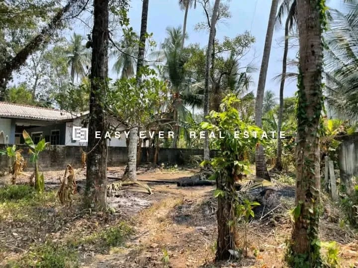 Commercial Land for Sale in Gampaha ads-image-1