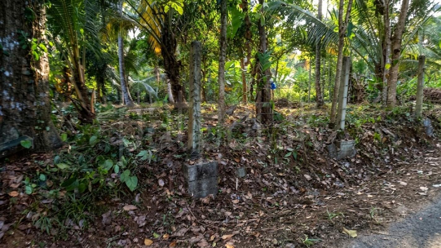 Commercial Land for Sale in Alawwa