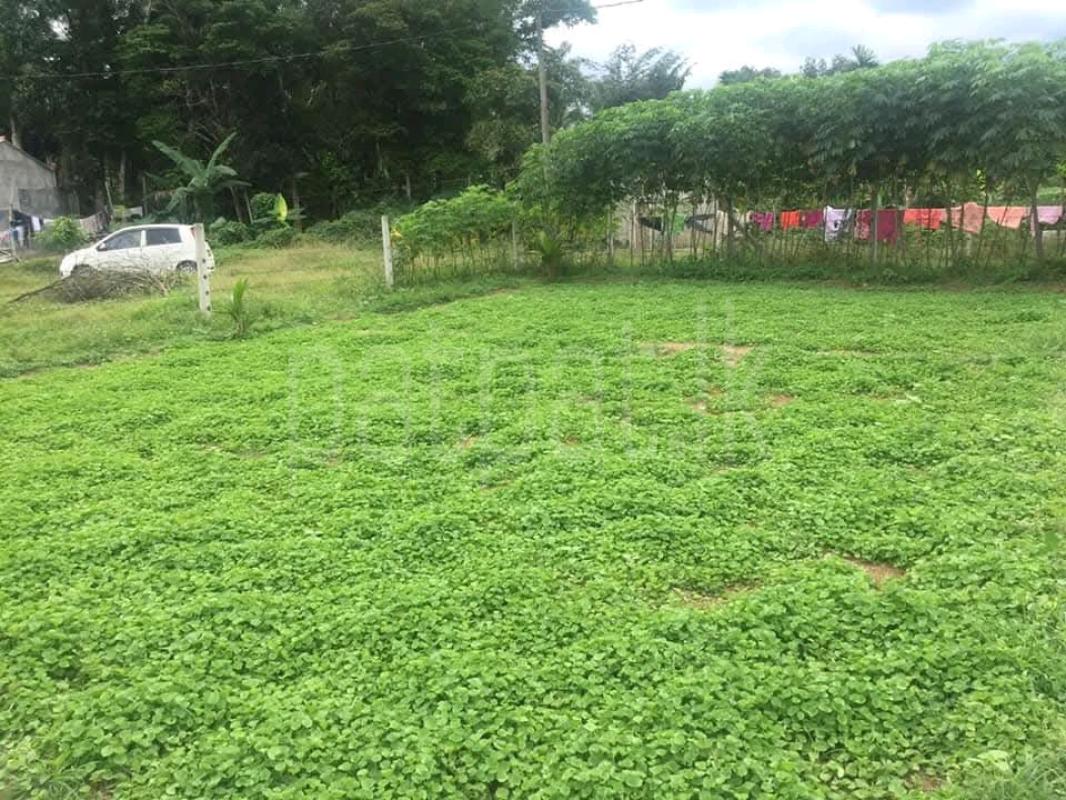 Agricultural Land for Sale in Mirigama