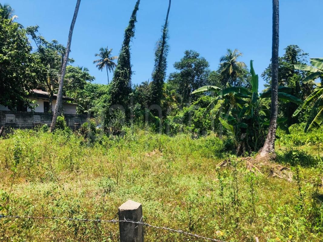  Land for Sale in Ekala