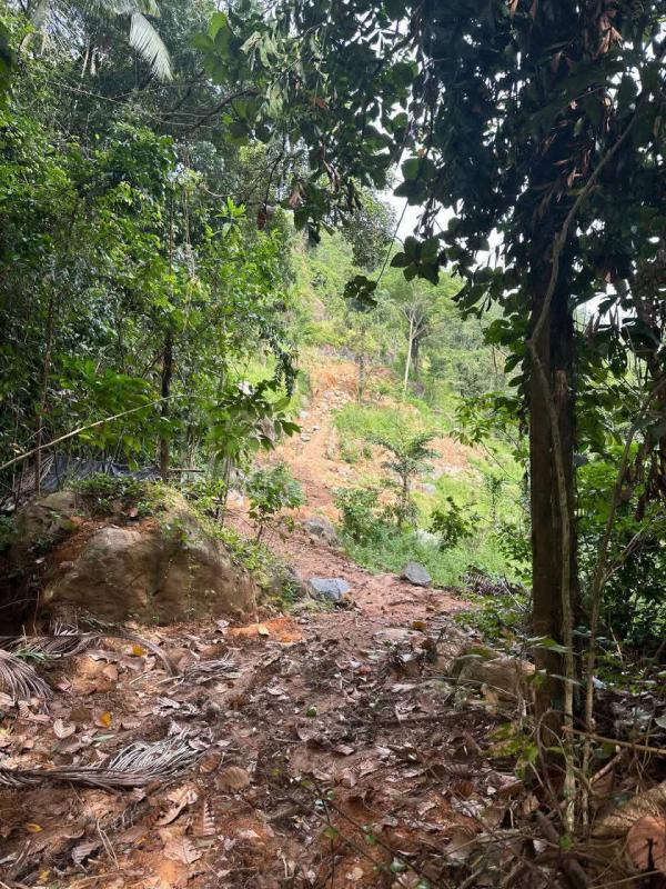 Residential Land for Sale in Nittambuwa