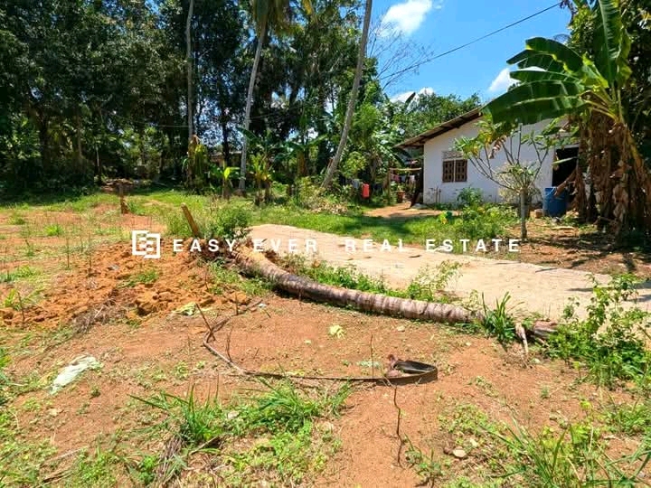 Commercial Land for Sale in Yakkala