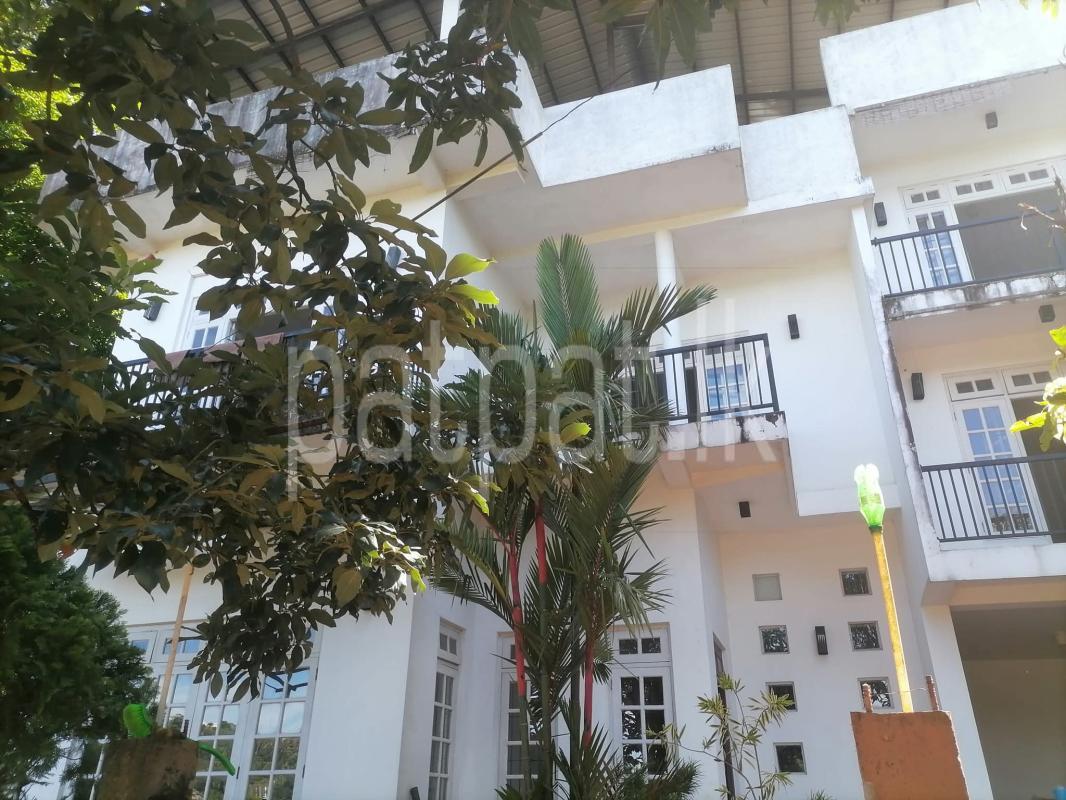 Advertisement image 1