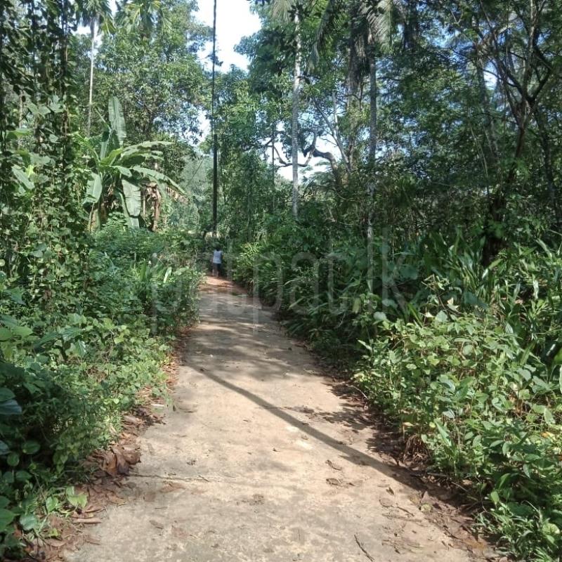 Commercial Land for Sale in Horana
