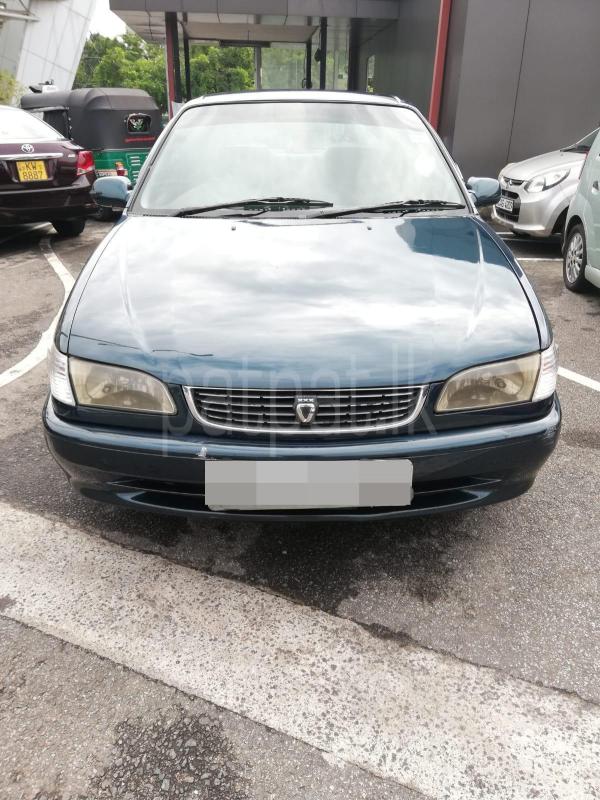 Advertisement image 1