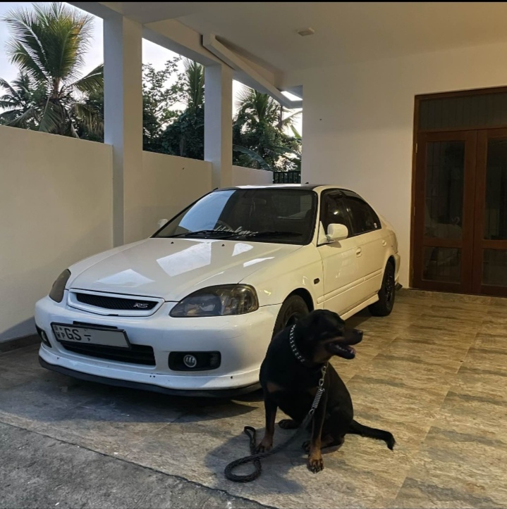 Honda Civic 1999 ads-image-1