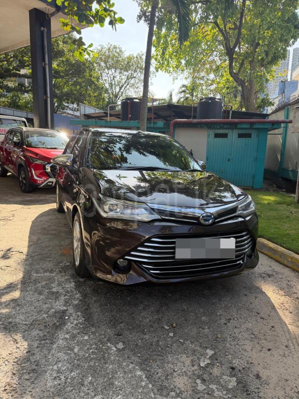 Advertisement image 2