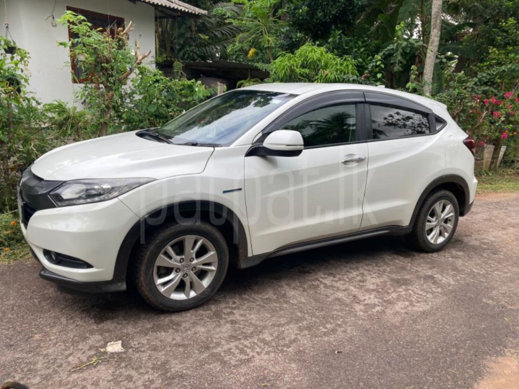 Advertisement image 2