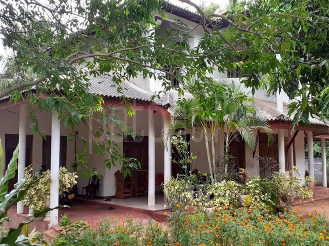 premium-listing-image