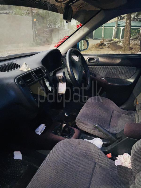 Advertisement image 3