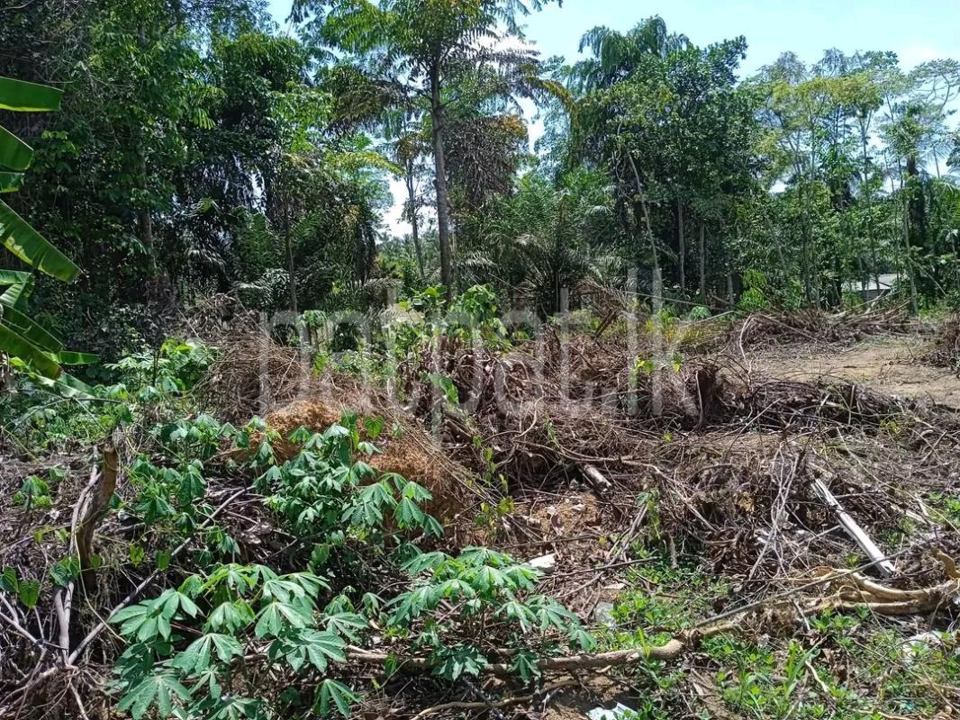 Agricultural Land for Sale in Mawathagama