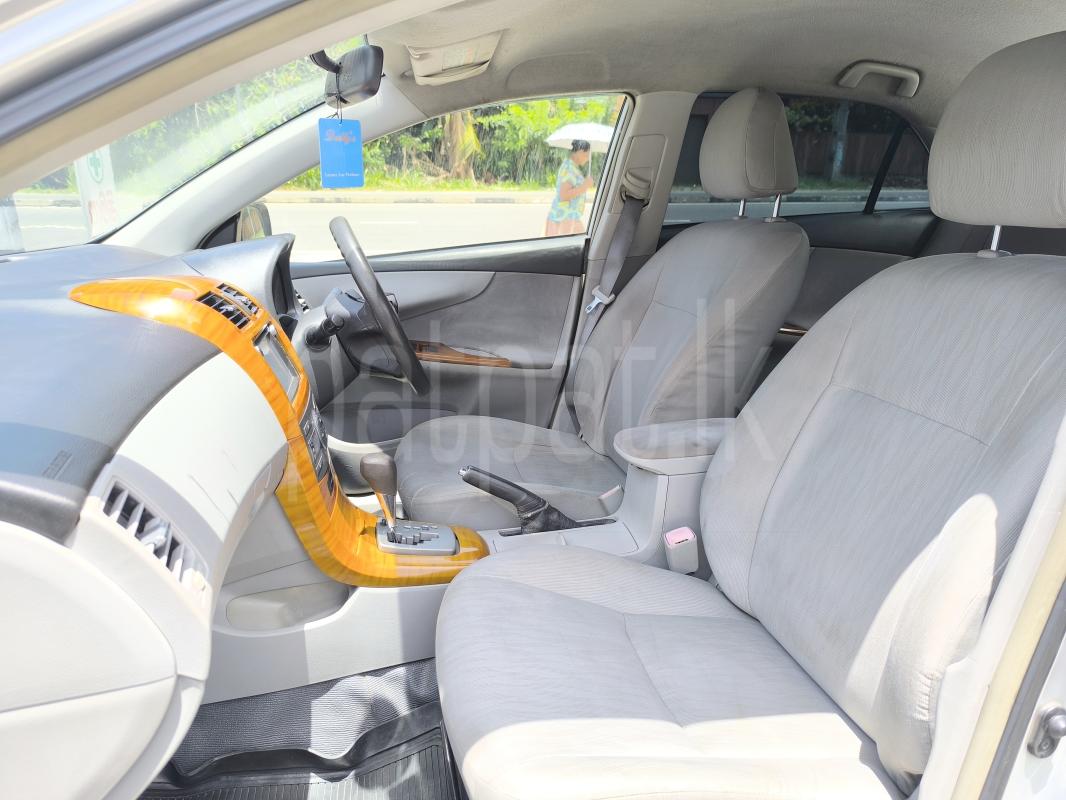 Advertisement image 6